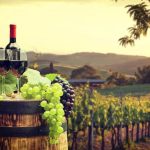 Wine tasting tuscany florence tour chianti cheese italy tours horse degustazione food wines riding
