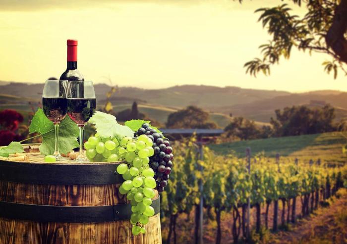 Wine tasting tuscany florence tour chianti cheese italy tours horse degustazione food wines riding